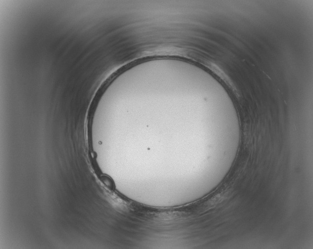 X0000062860988200601271525