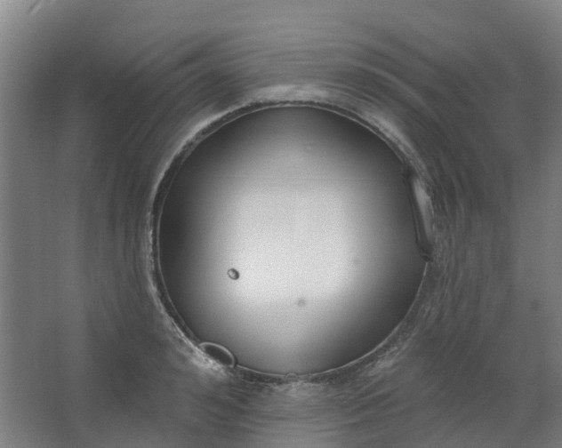 X0000062860992200601271525