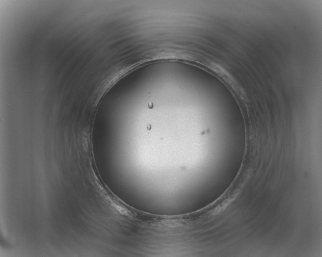 X0000062860993200601271525