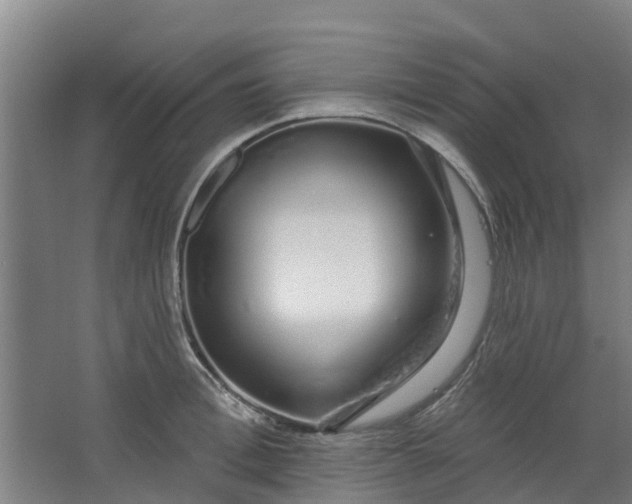 X0000062860996200601271525