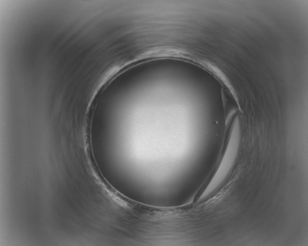 X0000062860997200601271525