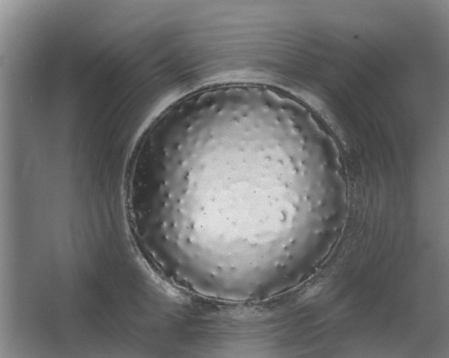 X0000062860998200601271525