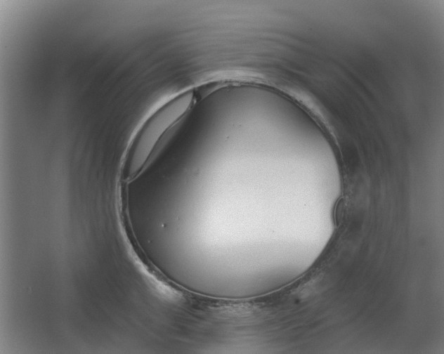 X0000062860999200601271525