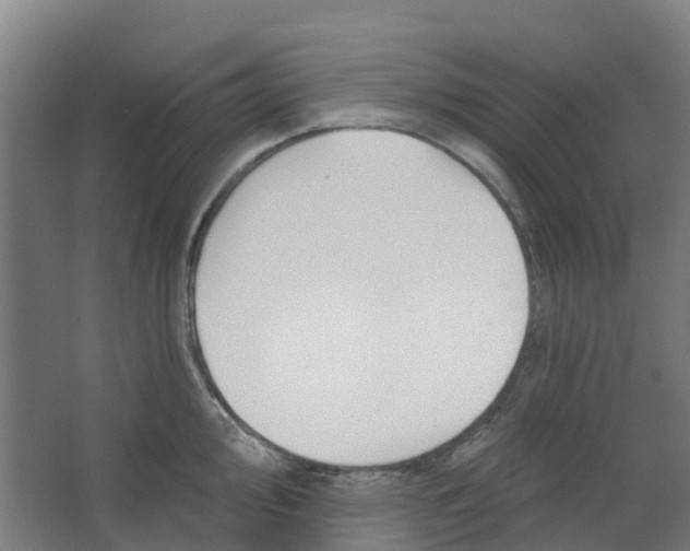 X0000062861000200601271525