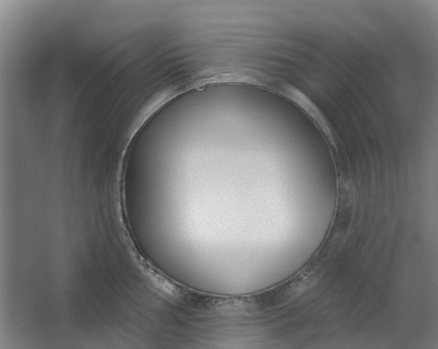 X0000062861002200601271525