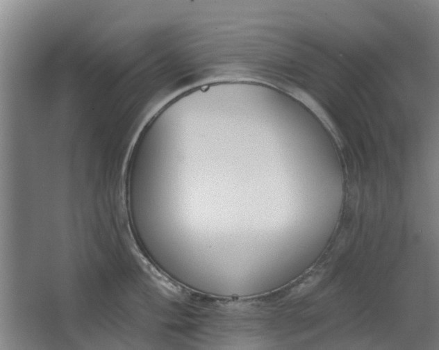 X0000062861004200601271525