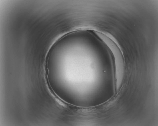 X0000062861005200601271525