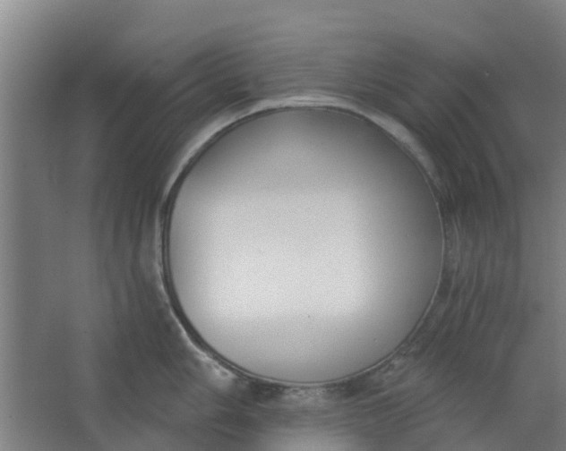 X0000062861006200601271525