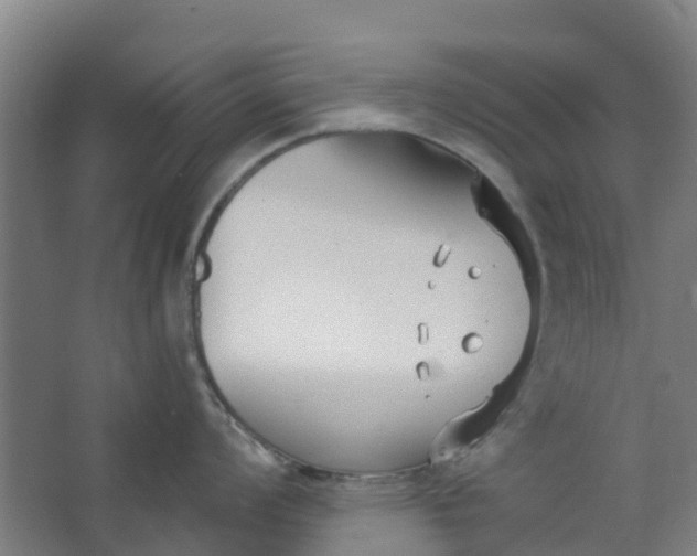 X0000062861008200601271525