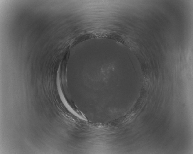 X0000062861010200601271524