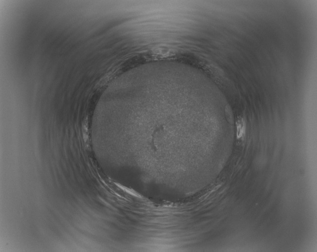 X0000062861011200601271524