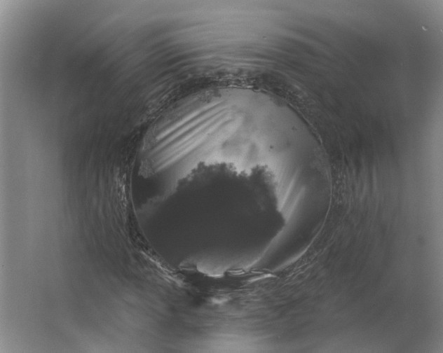 X0000062861013200601271524