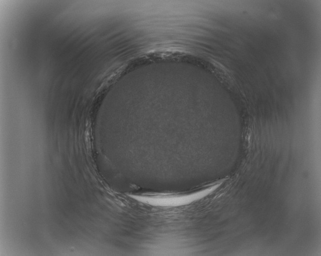 X0000062861014200601271524