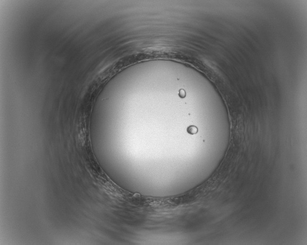 X0000062861015200601271524