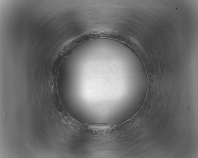 X0000062861016200601271524