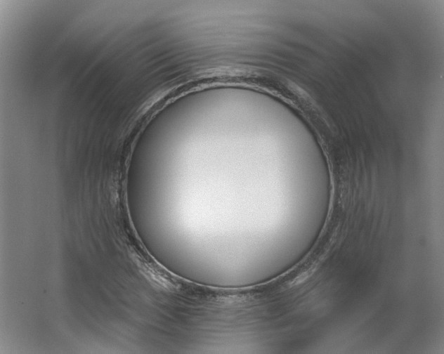 X0000062861017200601271524