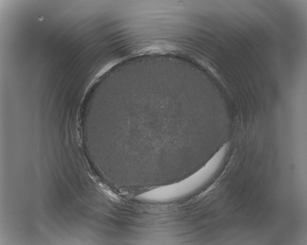 X0000062861018200601271524