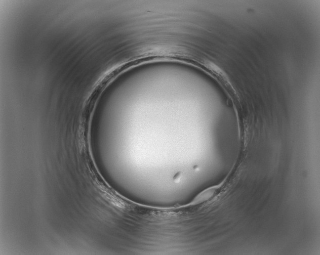 X0000062861019200601271524