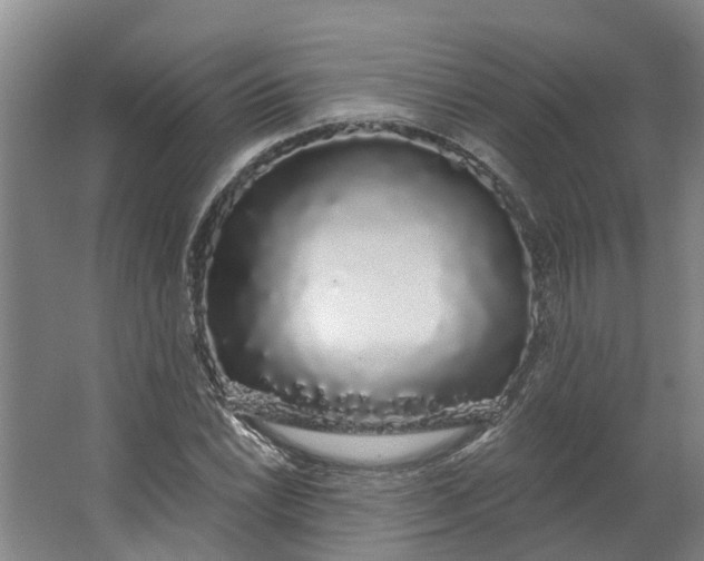 X0000062861022200601271524