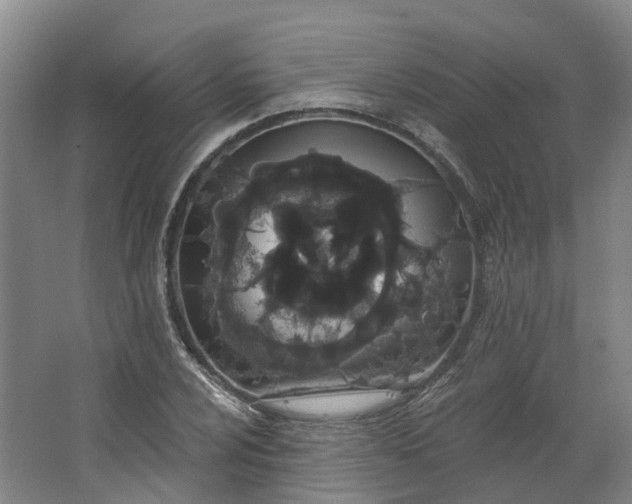 X0000062861024200601271524