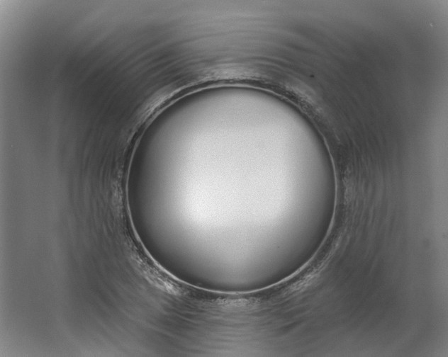 X0000062861025200601271524