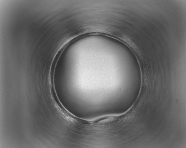 X0000062861028200601271524