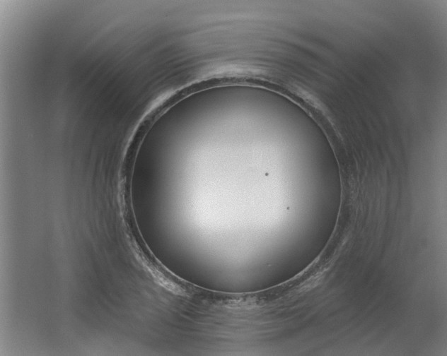 X0000062861029200601271525