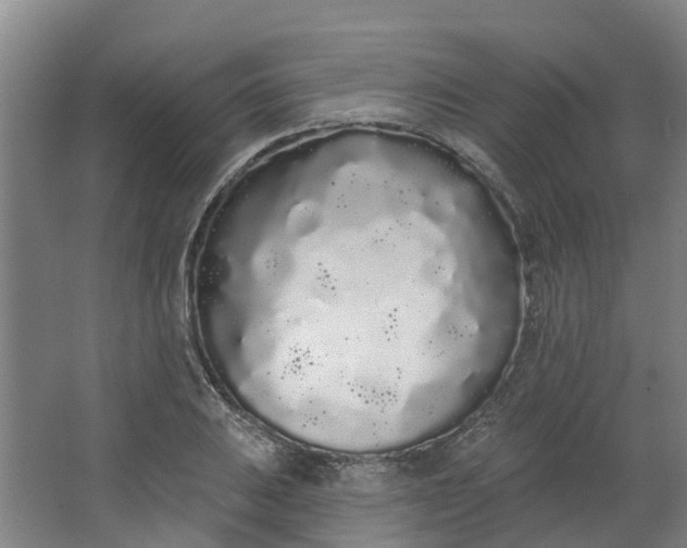 X0000062861031200601271525