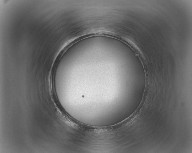 X0000062861032200601271525