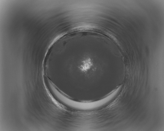 X0000062861034200601271525