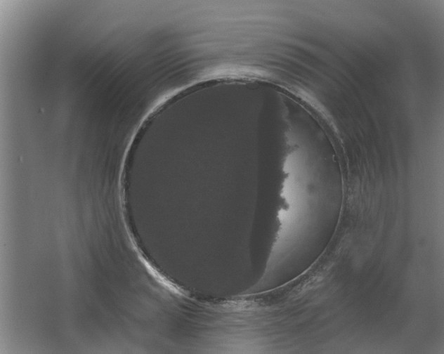 X0000062861037200601271525