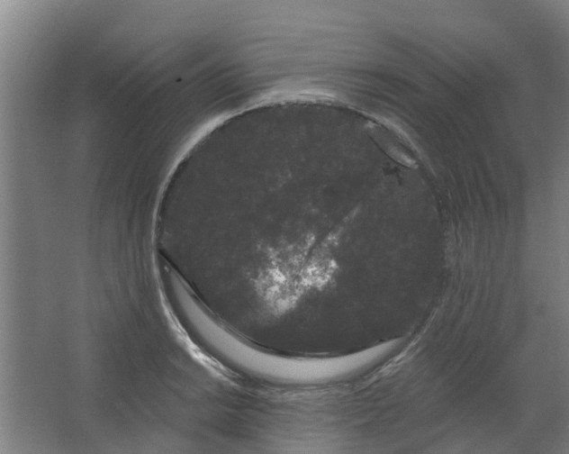 X0000062861038200601271525