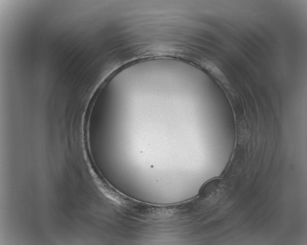 X0000062861039200601271525