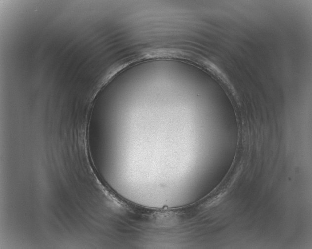 X0000062861041200601271525