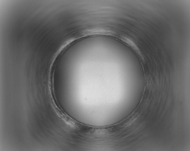 X0000062861043200601271525