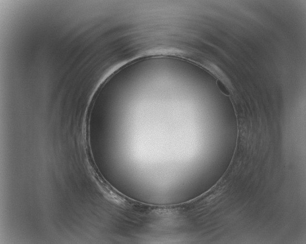 X0000062861044200601271525