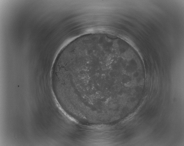 X0000062861045200601271525