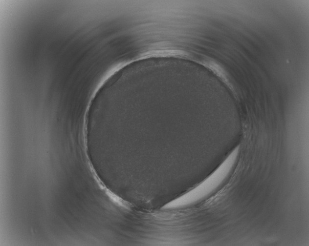 X0000062861046200601271525