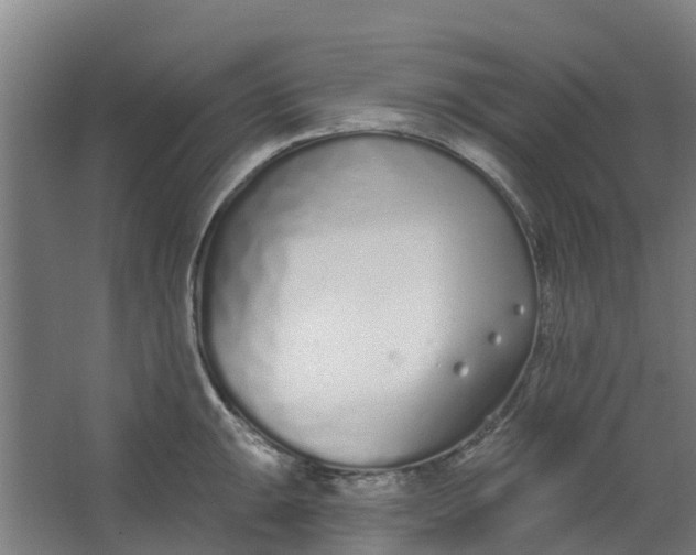 X0000062861047200601271525