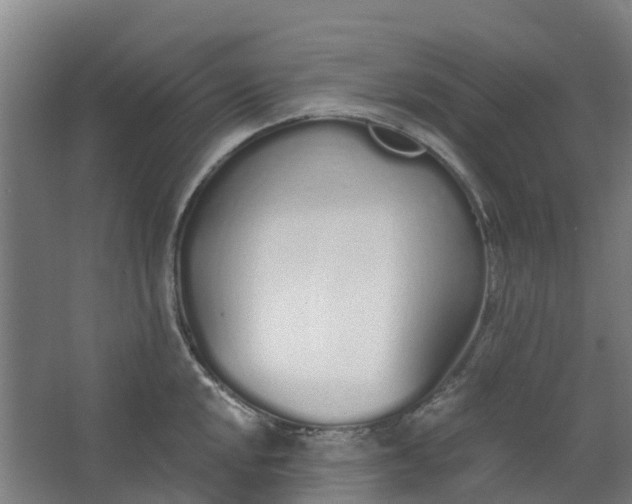 X0000062861048200601271525