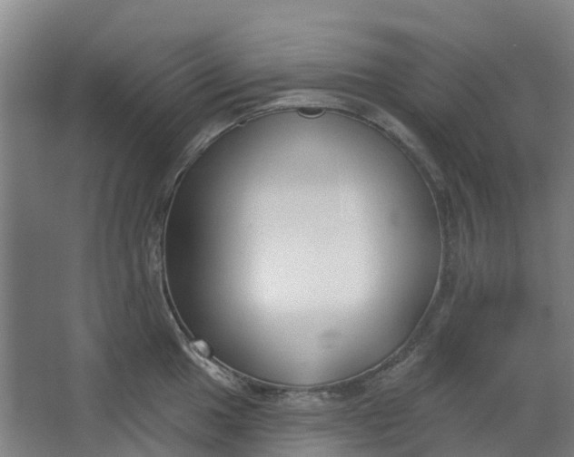 X0000062861049200601271525