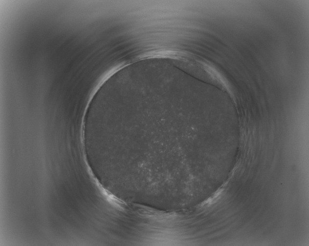 X0000062861050200601271525