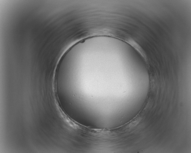 X0000062861052200601271525