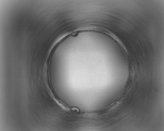 X0000062861053200601271525