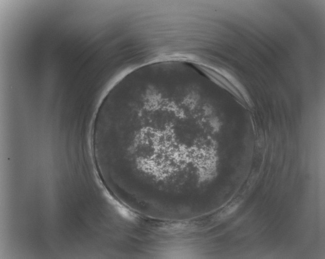 X0000062861054200601271525