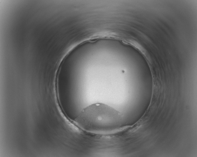 X0000062861055200601271525