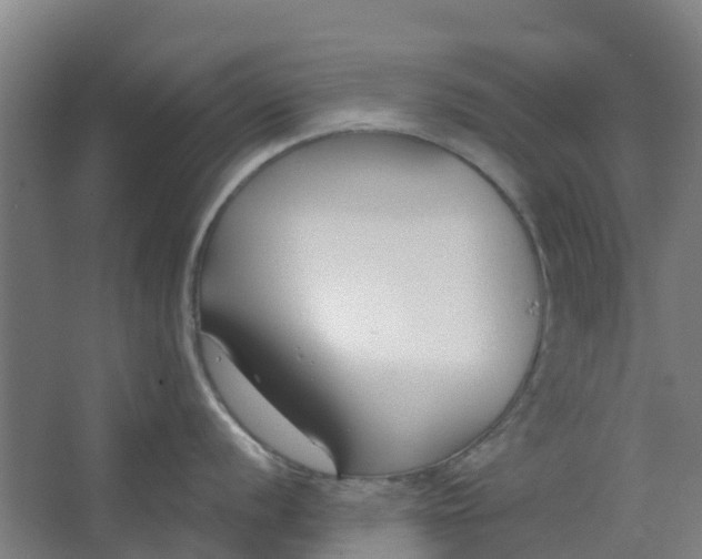 X0000062861056200601271525