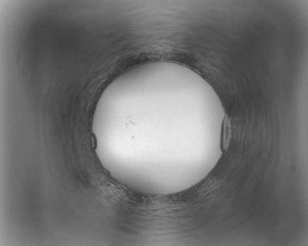 X0000062861057200601271524