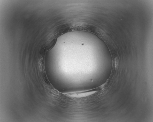 X0000062861059200601271524