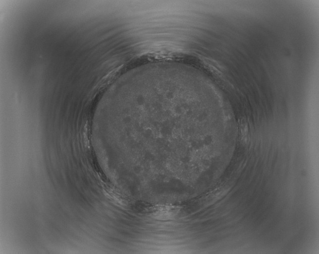 X0000062861060200601271524